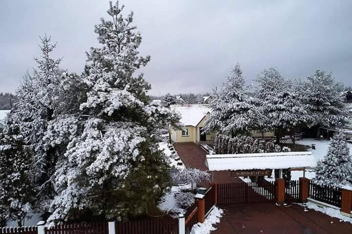 Agroturystyka Barycz 46 Konskie ภายนอก รูปภาพ